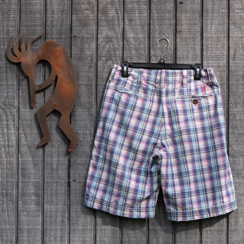 AEO Pink and Blue Plaid  Shorts - Picture 3 of 6